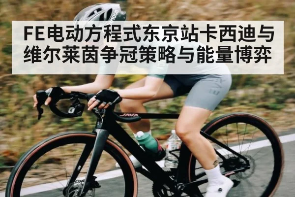 FE电动方程式东京站卡西迪与维尔莱茵争冠策略与能量博弈（kaiyun）