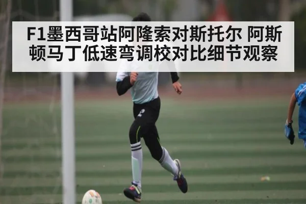 F1墨西哥站阿隆索对斯托尔 阿斯顿马丁低速弯调校对比细节观察（kaiyun）